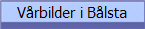 Vårbilder i Bålsta